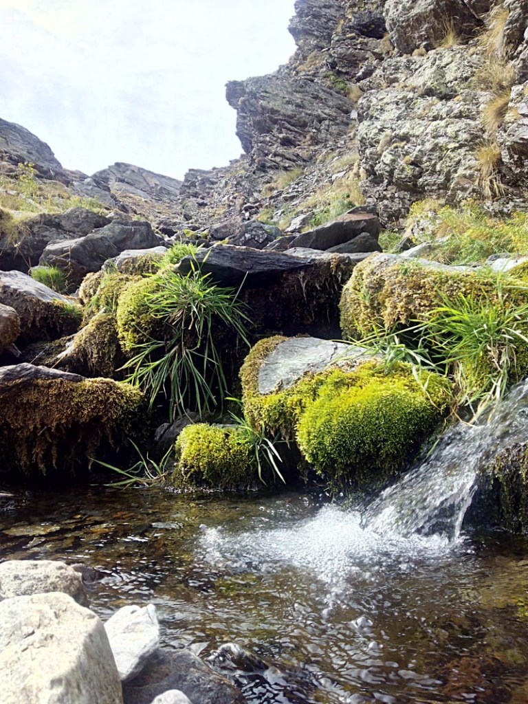 IMG_20150913_114608_1