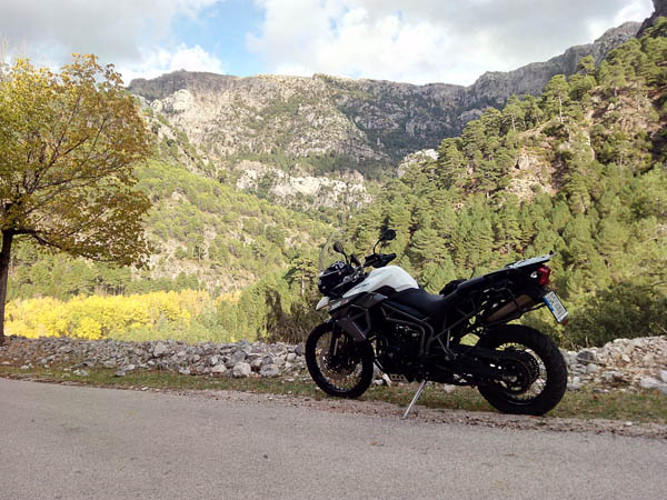 IMG_20151006_172957_1