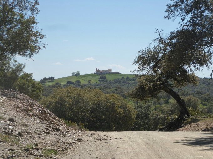 wp-image-1550904579jpg