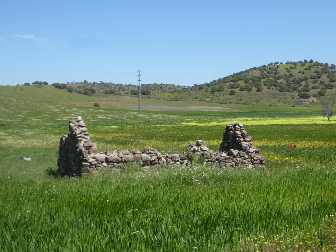 wp-image-1746864565jpg