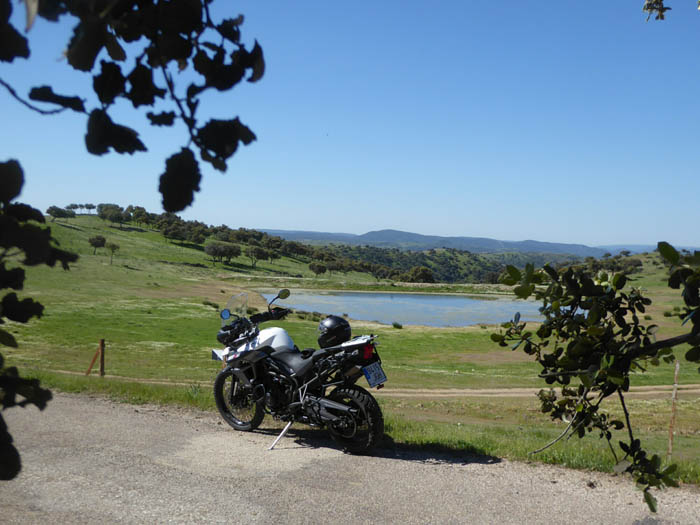 wp-image-238616581jpg