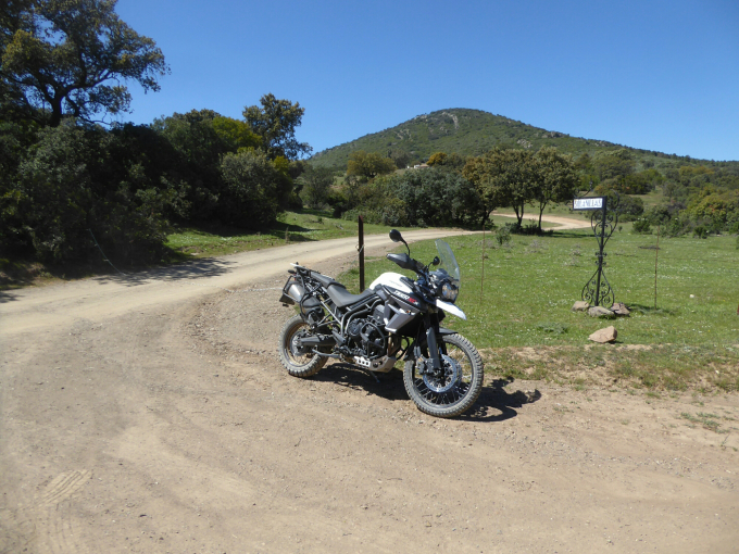 wp-image-722191323jpg